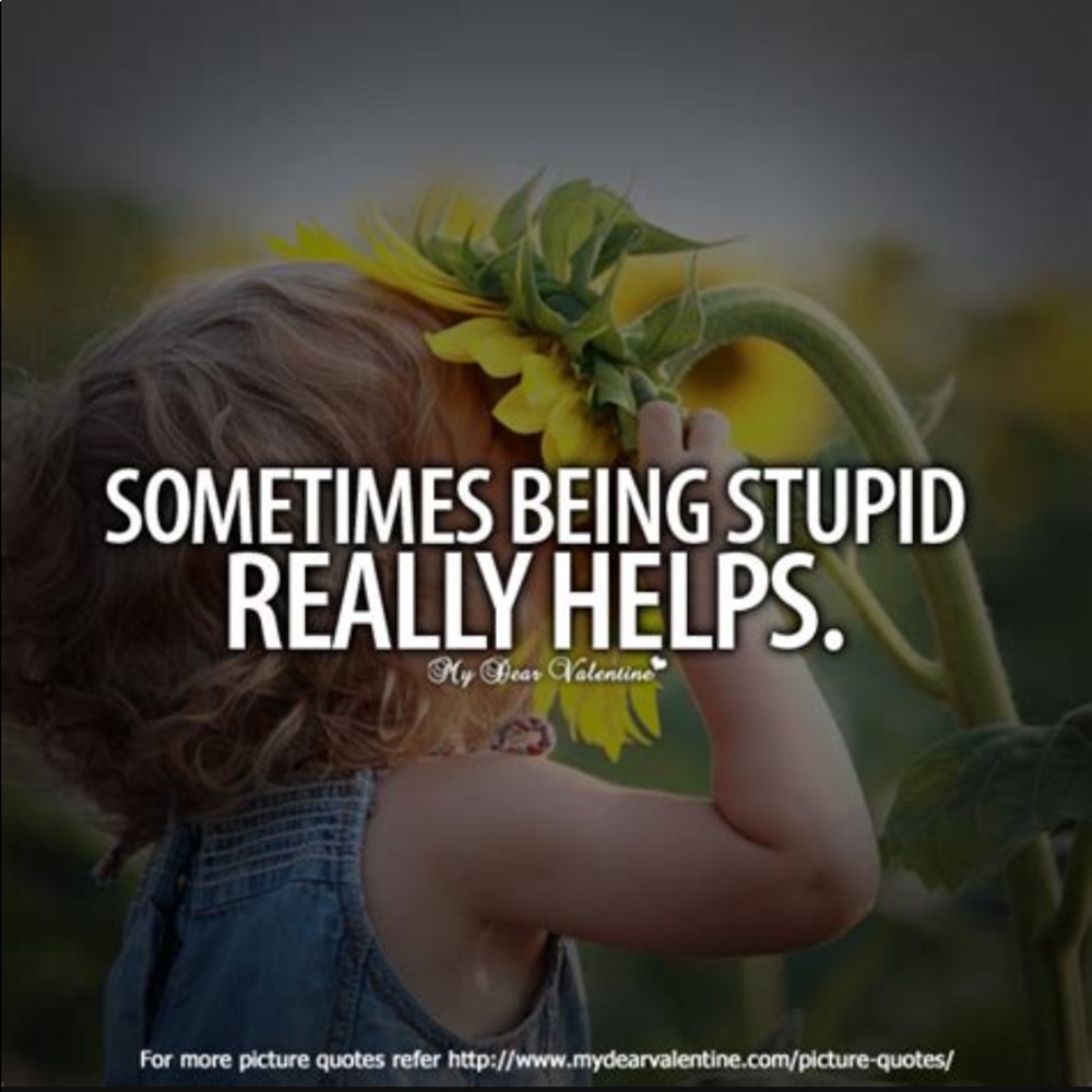 *sp - Picture 8 of 13